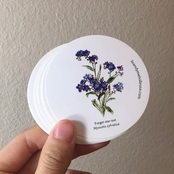 Brandy Melville Forget Me Not Stickers - Picture 1 of 1
